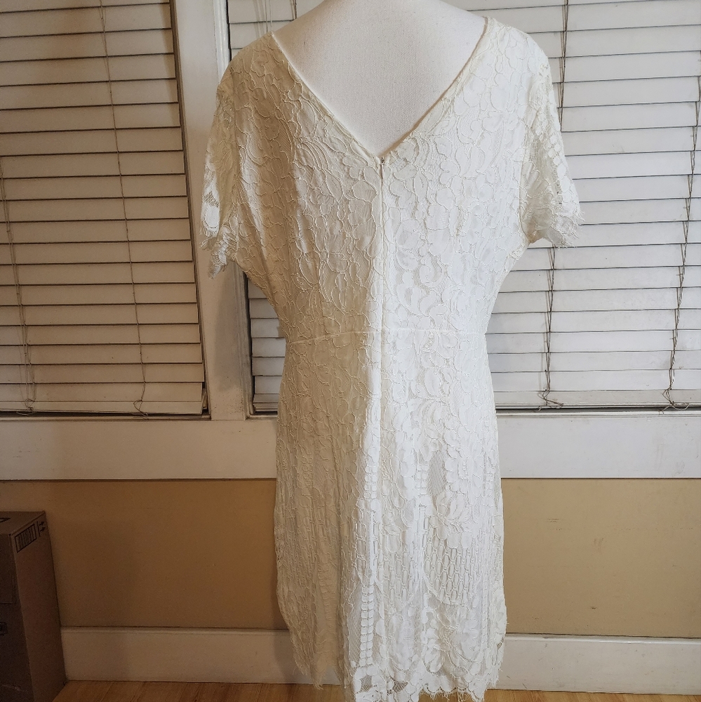 MSLG Womens Floral Lace Overlay Dress - Picture 5 of 14